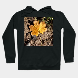 Golden Autumn Maple Leaf Hoodie